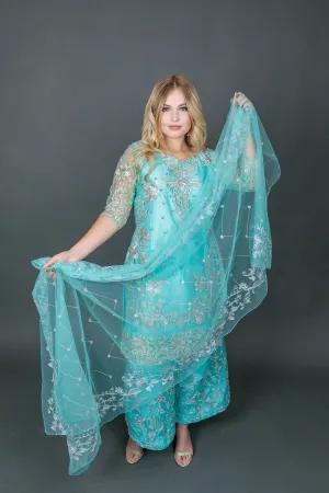 Fancy Heavy Embroidered Light Baby Blue Sharara Suit