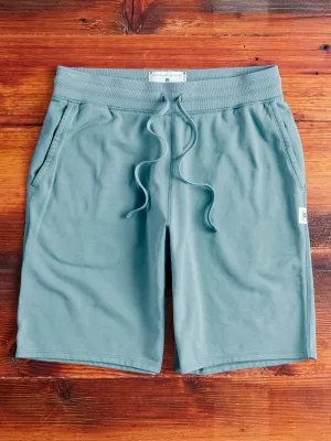 Lightweight Terry Sweatshort in Ink